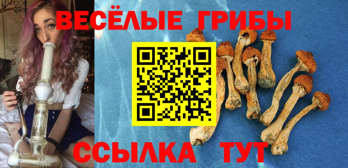 Галлюциногенные грибы MAGIC MUSHROOMS Томск