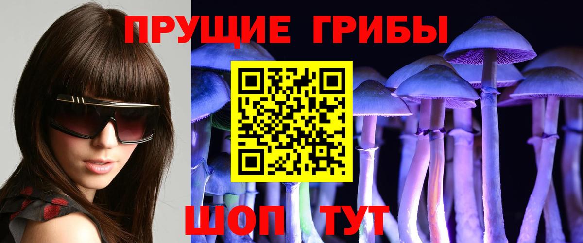 Галлюциногенные грибы мицелий  Галлюциногенные грибы мицелий  Томск  Вход с VPN 